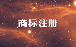 注冊商標(biāo)查詢申請如何辦理