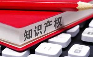 安徽蕪湖繁昌區(qū)電商知識(shí)產(chǎn)權(quán)保護(hù)如何攻克難關(guān)