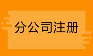 安徽蕪湖繁昌區(qū)注冊分公司需要什么手續(xù)有哪些流程