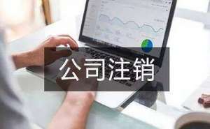 安徽蕪湖繁昌區(qū)公司注銷(xiāo)補(bǔ)繳稅及被罰款的情況有哪些
