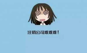 安徽蕪湖繁昌區(qū)注銷公司需注意哪些細(xì)節(jié)