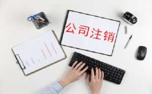 安徽蕪湖繁昌區(qū)公司標(biāo)準(zhǔn)注銷的流程會(huì)是怎樣的