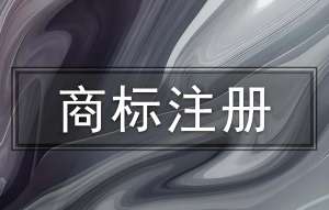 在蕪湖申請商標(biāo)注冊失敗怎么重新申請？